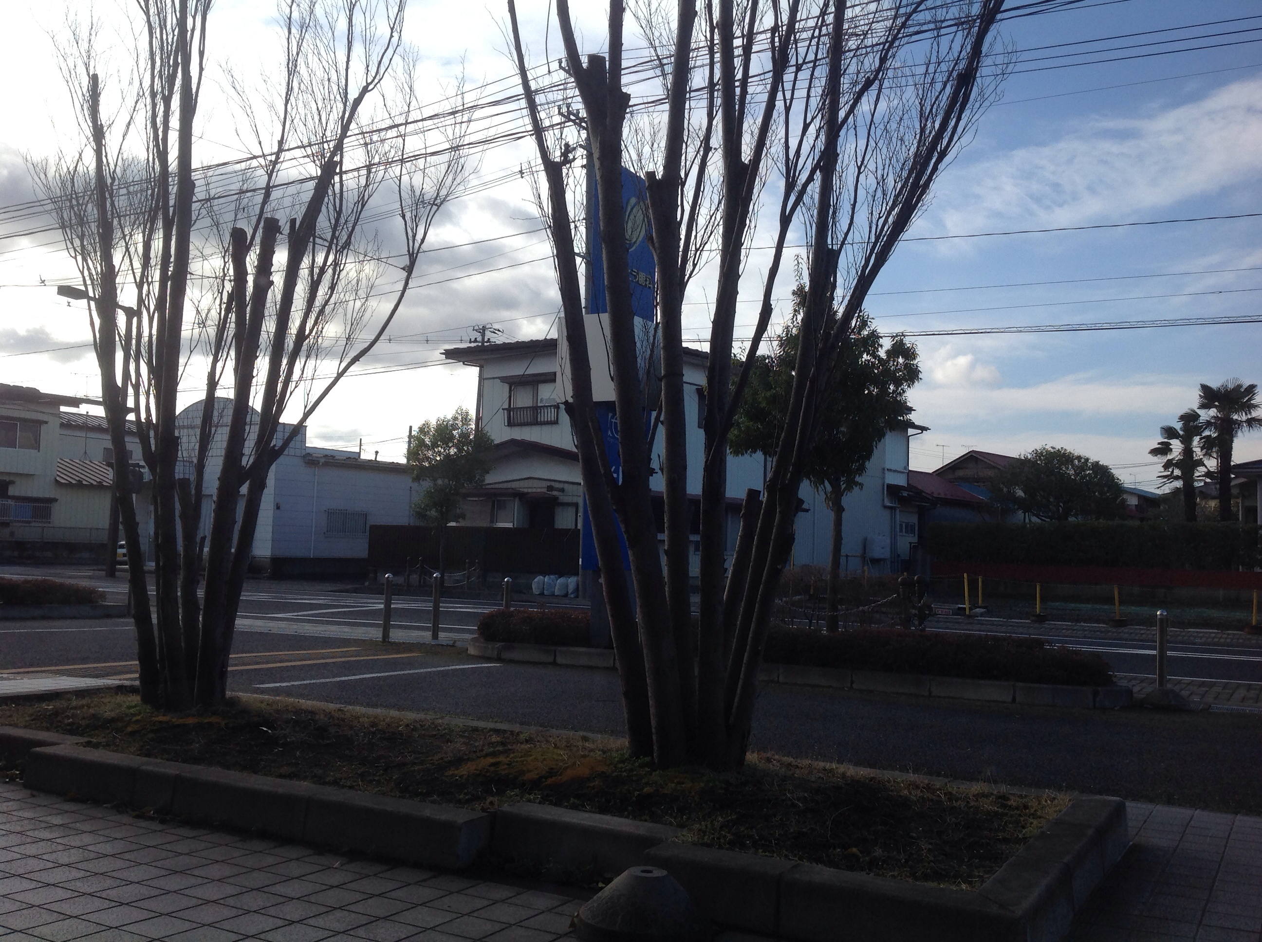 http://www.root-ex.co.jp/sanuma/2014/03/31/1/image.jpg